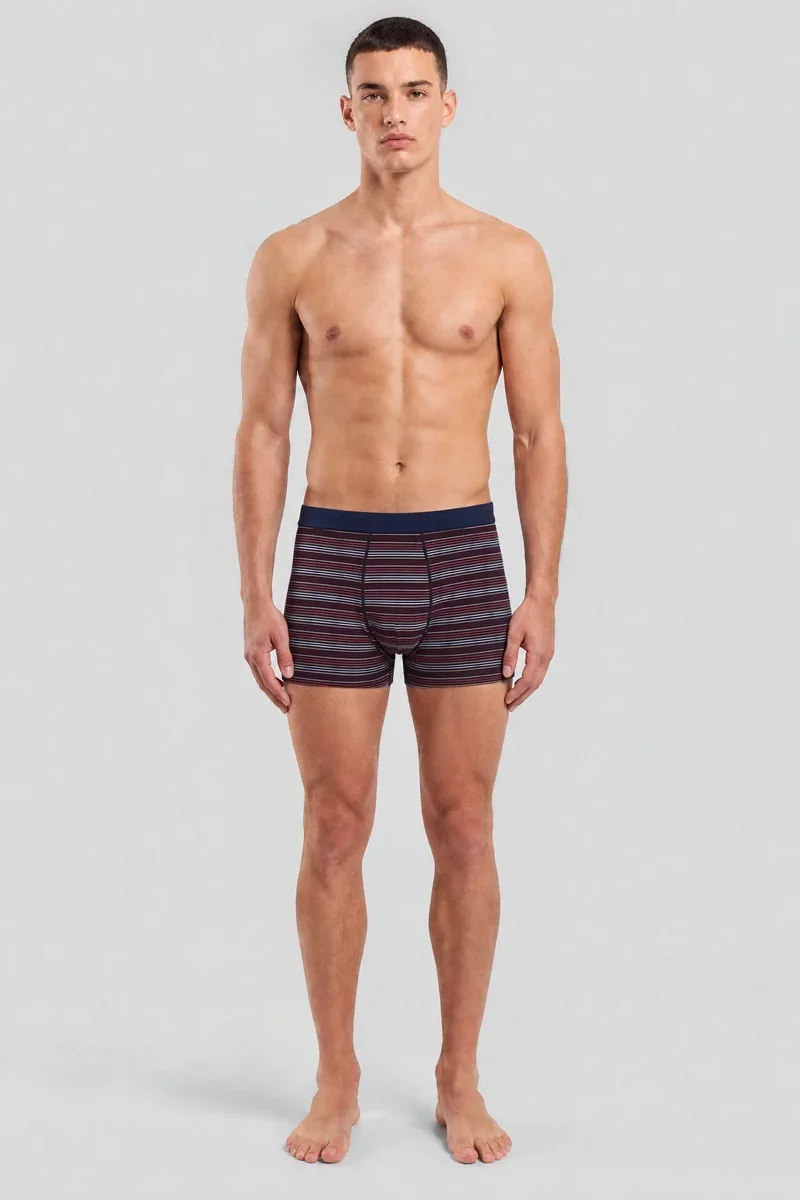 Specialty Three-colour striped boxer shorts - organic cotton Prestigious