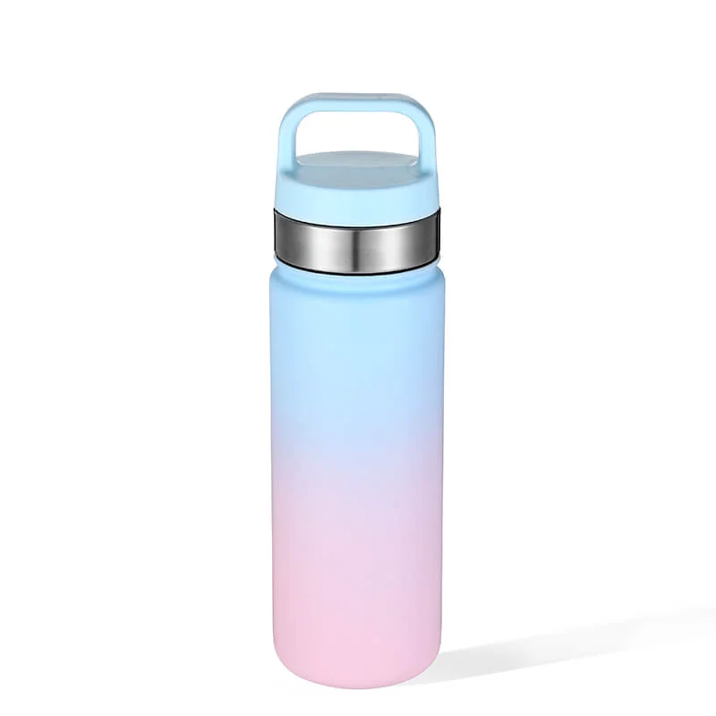 Safe 18oz Insulated Drinks Bottle With 2 in 1 Function Lid 01602A Exclusive