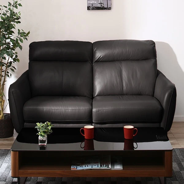 Comfortable 2 SEAT SOFA ANHELO NB DBR Smooth