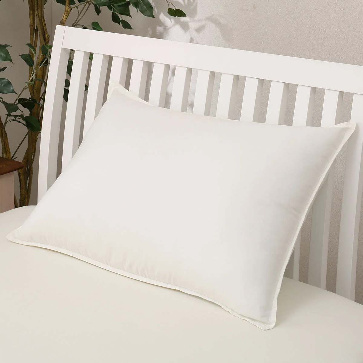 Modern POLYESTER PILLOW WASH JN MID Professional