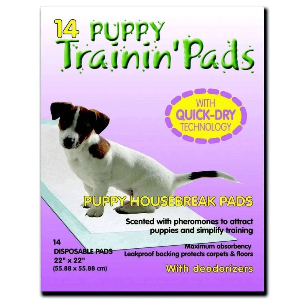 Official Puppy Training Pads 14 Fast