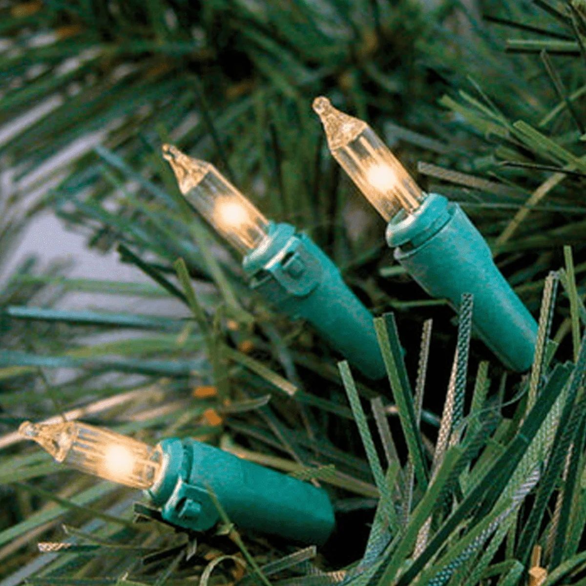 Environmentally Friendly 50 Mini Indoor Incandescent Lights Trusted