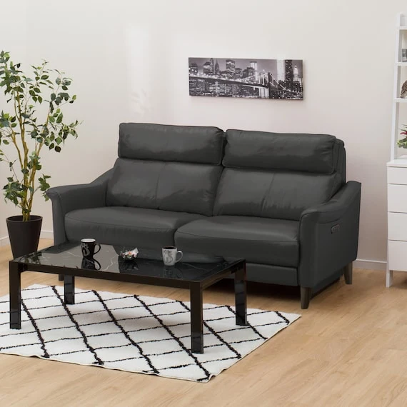 Trendy 3P ELECTRIC SOFA CHERRYB SK GY Specialty