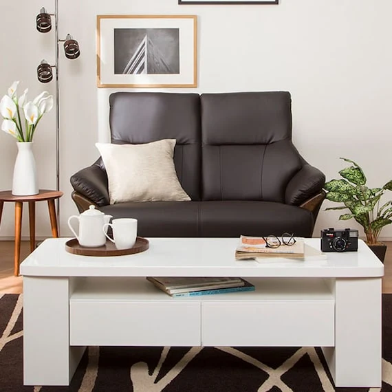 Official 2 SEAT SOFA N-SHIELD KOTEI3 DBR Next-Generation