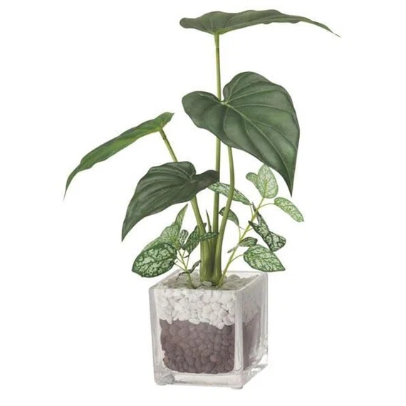 Breathable 31CM ALOCASIA GLASS POT G304-N434 8304NT Smart