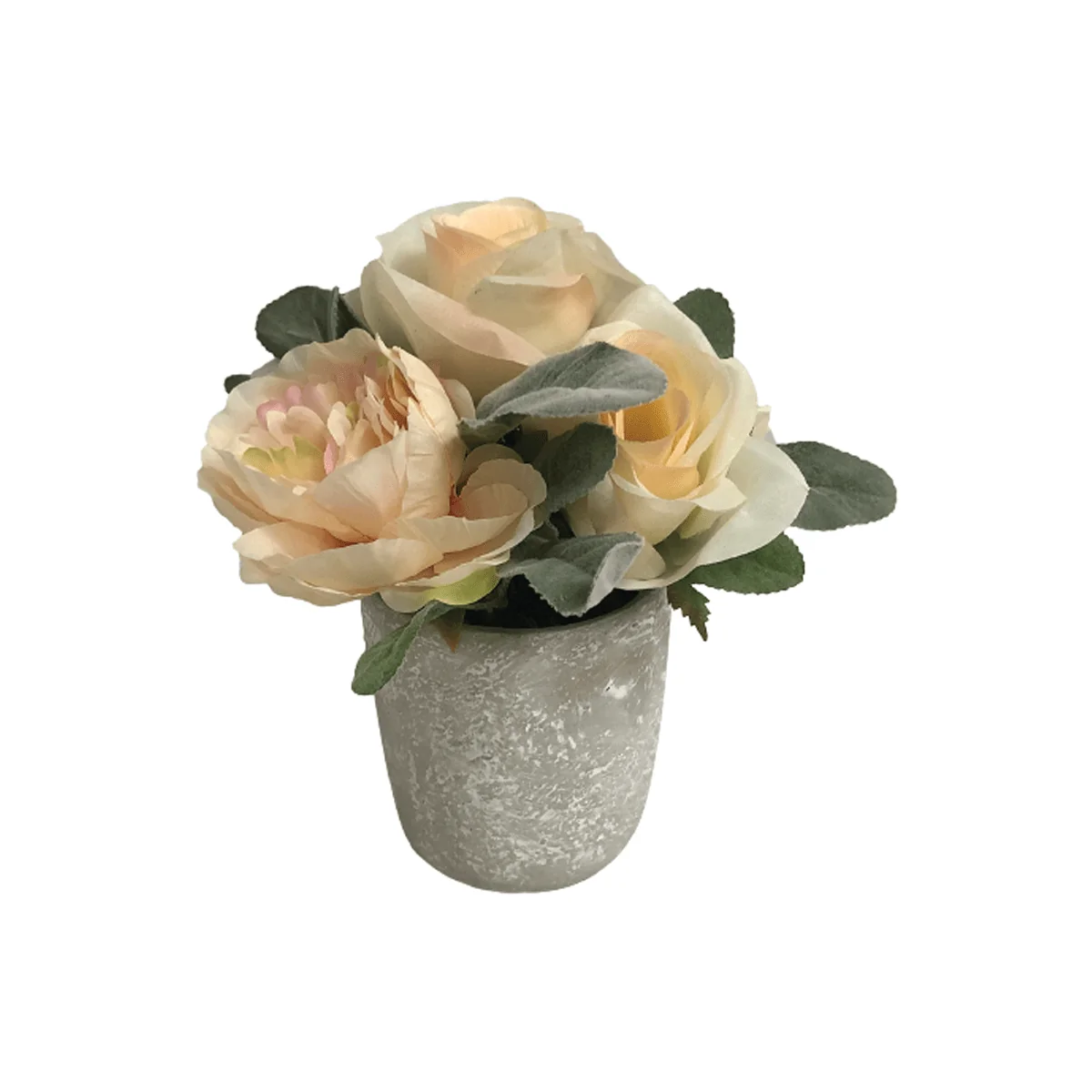 Solid Rose Flower In Ceramic Pot Detailed