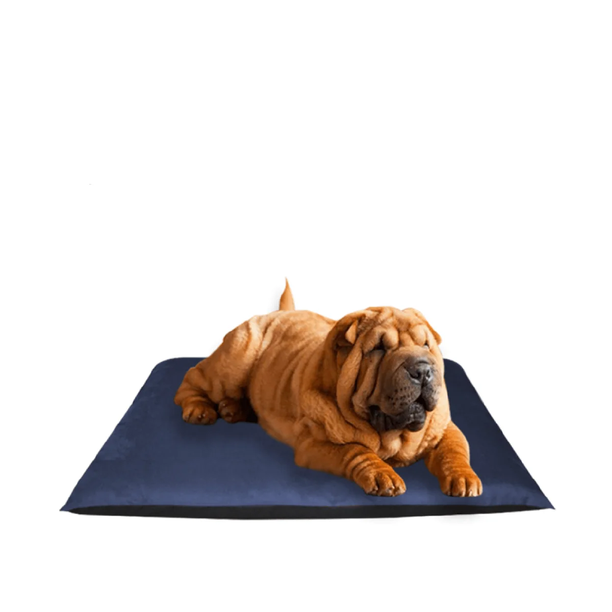 Original Design Jacquard Dog Bed Premium Material