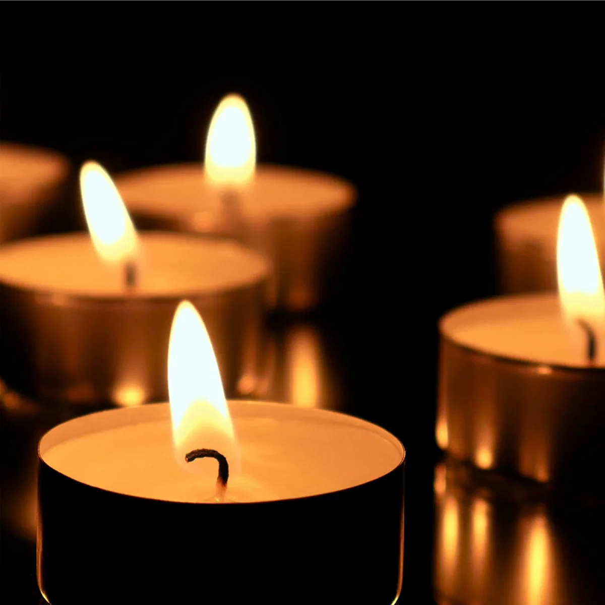 Fine STUDIO 707 - Tealight 4 Hour-50 Pieces Premium