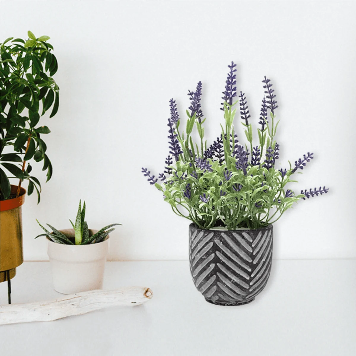 Optimized Lavender In Black grey Cement Pot 16 24 Expertly Made