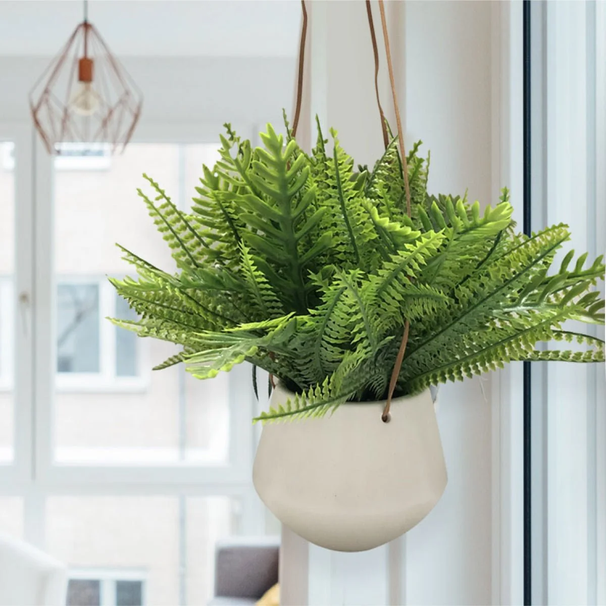 Safe Fern White Ceramic Pot W rope Environmentally Friendly