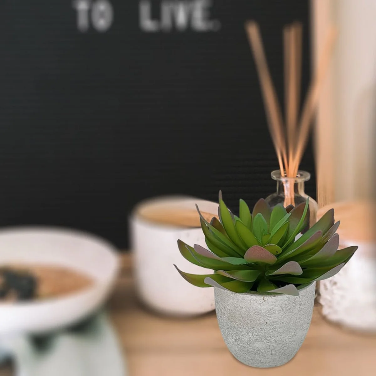 Unique Succulent Cement Pot 13x13 Fine