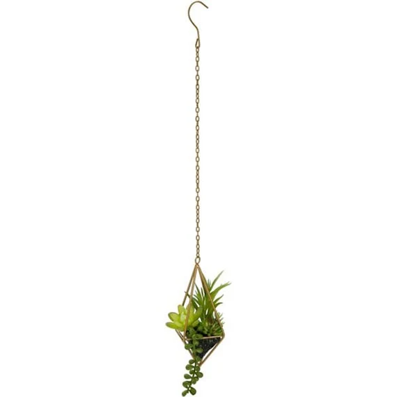 Sophisticated SUCCULENT IN HANGING METAL CASE 8X8 High-Performance