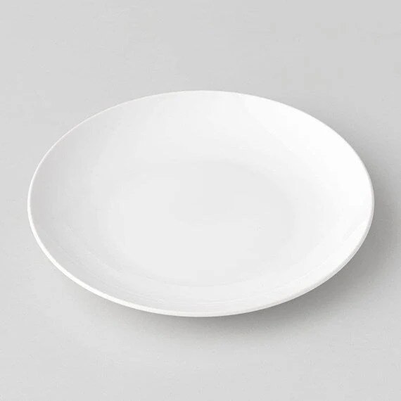 Convenient WATER REPELLENT ROUND PLATE 24CM WH01 Next-Generation