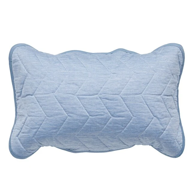 Stylish PILLOW PAD N COOL WSP DBL S2403 High-End