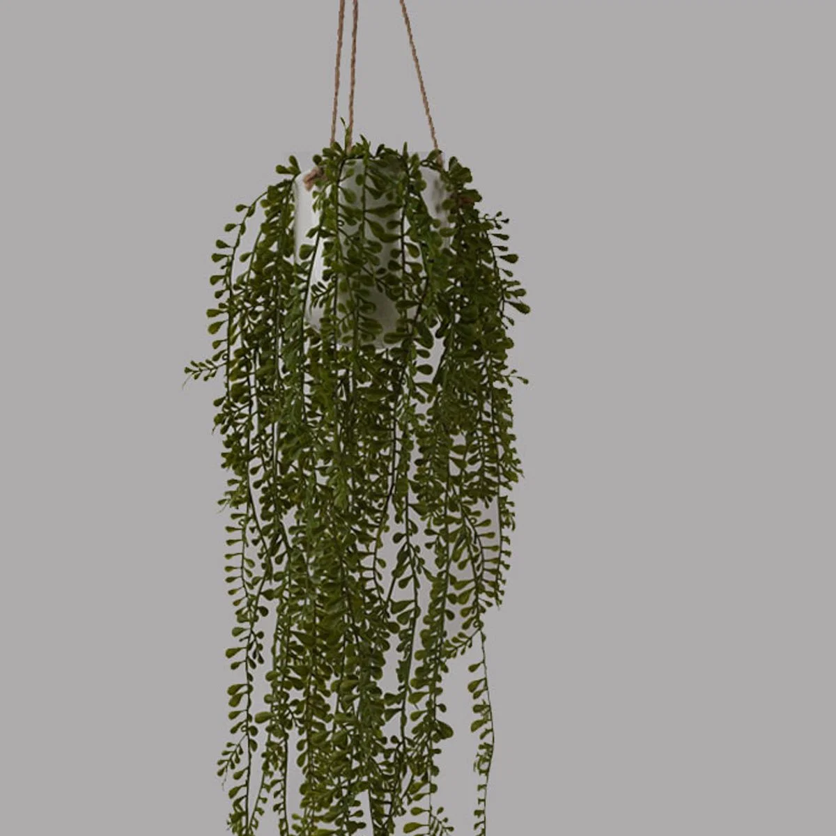 Trendy Artificial Hanging Pearl String in Ceramic Pot Pure