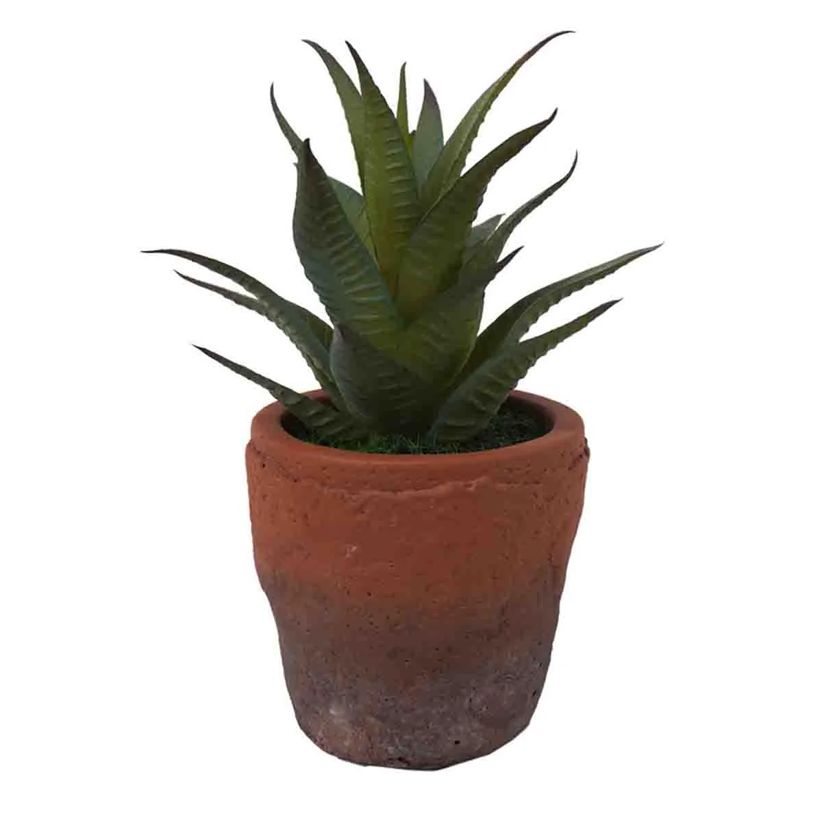 Trendy Lauren Taylor - Artificial Succulents in Clay White Footed Pots Secure