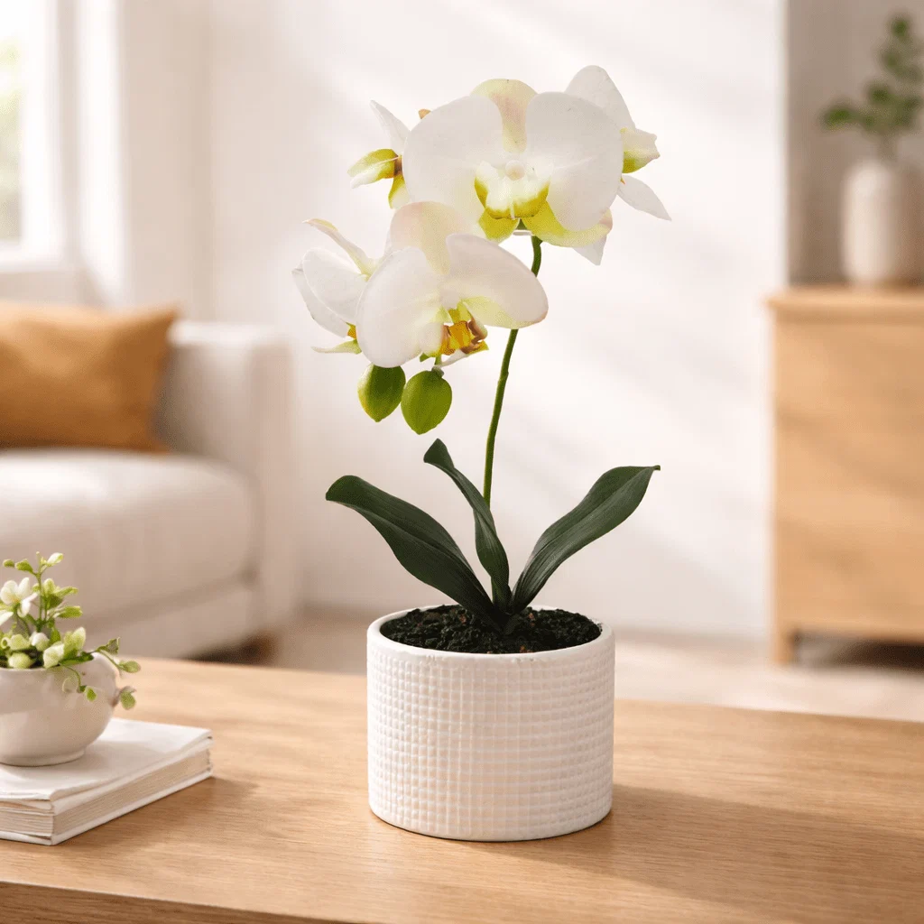 Relaxed Artificial Orchid in Decorative Pot Specialty