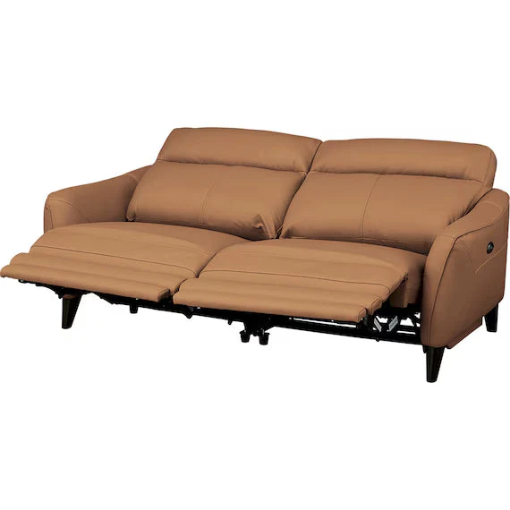 Pure ELECTRIC 3P SOFA LS06 NW BR Natural
