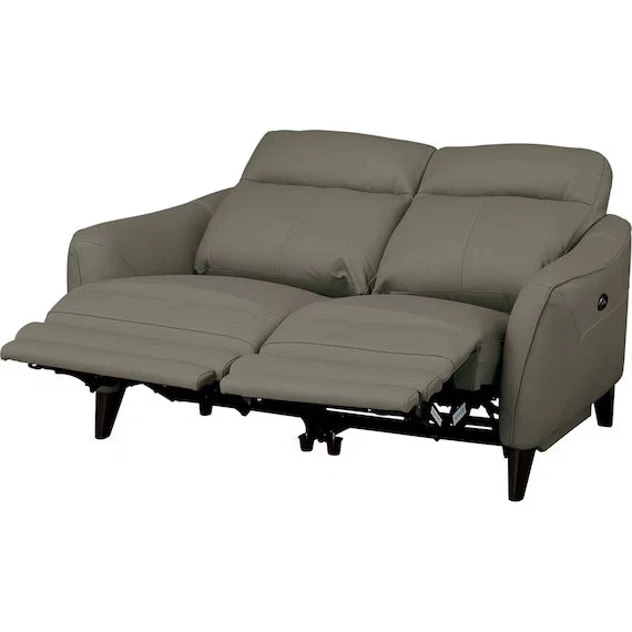Traditional ELECTRIC 2P SOFA LS06 NW DGR Effective
