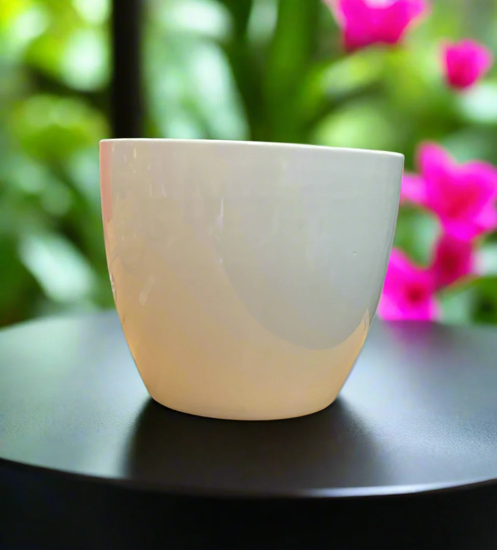 Consistent LILY CACHE POT 5.5 quot GLOSSY WHITE High-Performance