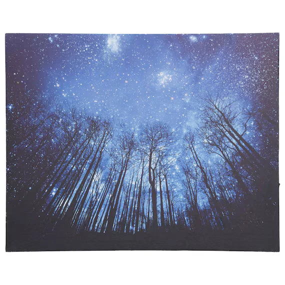 User-Friendly LED CANVAS POSTER ZF01 Specialty
