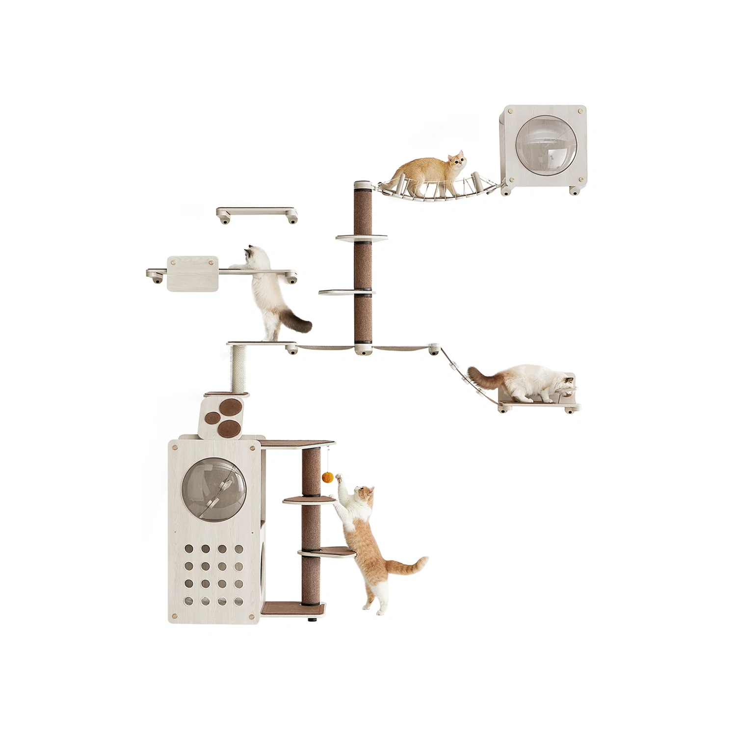 Outstanding Clickat Planet Set of 10 Cat Wall Furniture Authentic