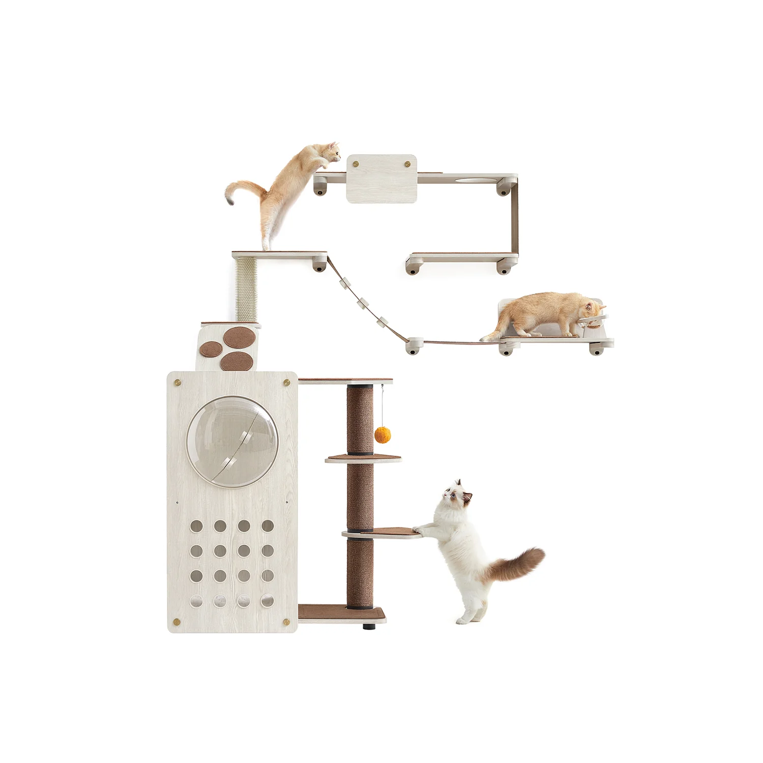 Fine Crafted Clickat Land Set of 7 Cat Wall Furniture Advanced