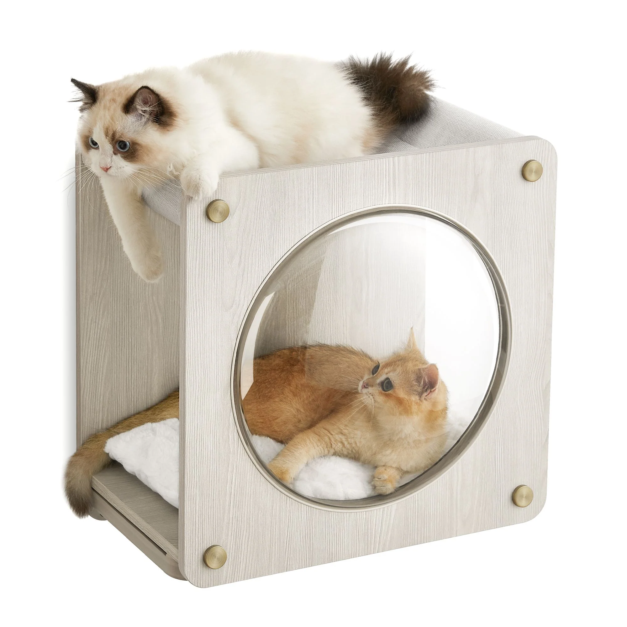 Easy-to-Use Clickat Wall-Mounted Cat Cave with Observation Window Stylish