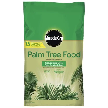 Contemporary GRO PALM TREE FOOD Durable