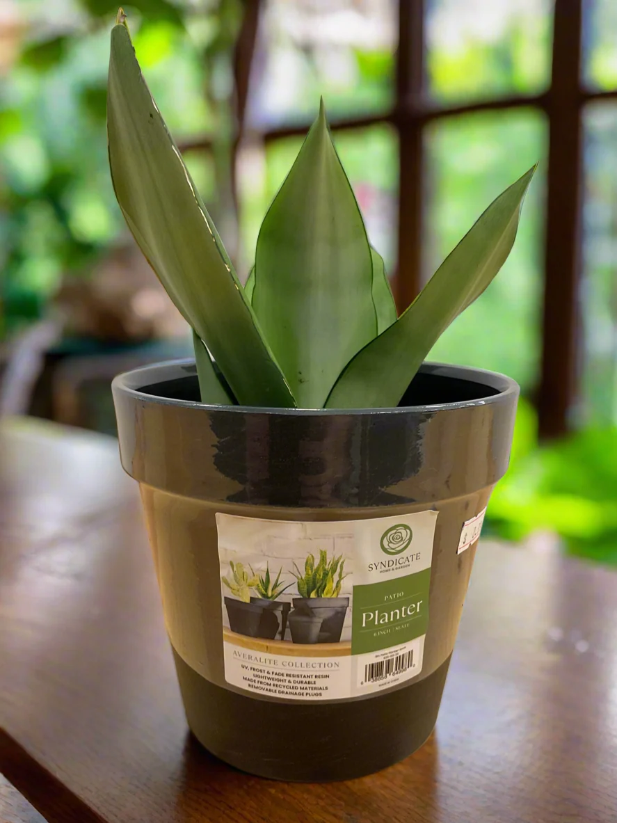 Convenient AVERLITE PLANTER 6 quot SLATE Top-Quality
