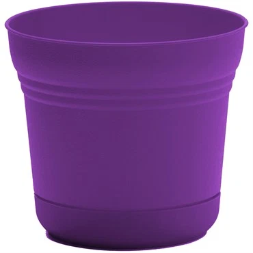Pure SATURN PLANTER 5 quot ROYAL LILAC Certified
