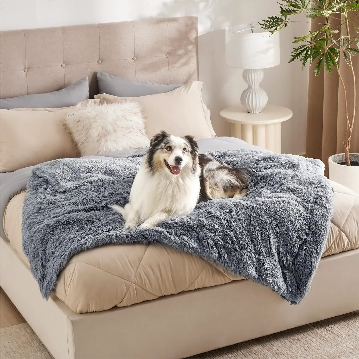 Prestigious Ownkoti Sherpa Waterproof Soft Blanket Pet Pad Selected