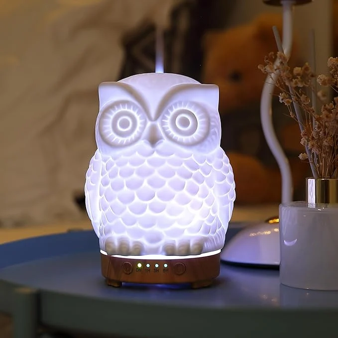 Original Design Owl Ceramic Aromatherapy Diffuser INRORANS 160ml Stone ultrasonic Cool Mist Smooth