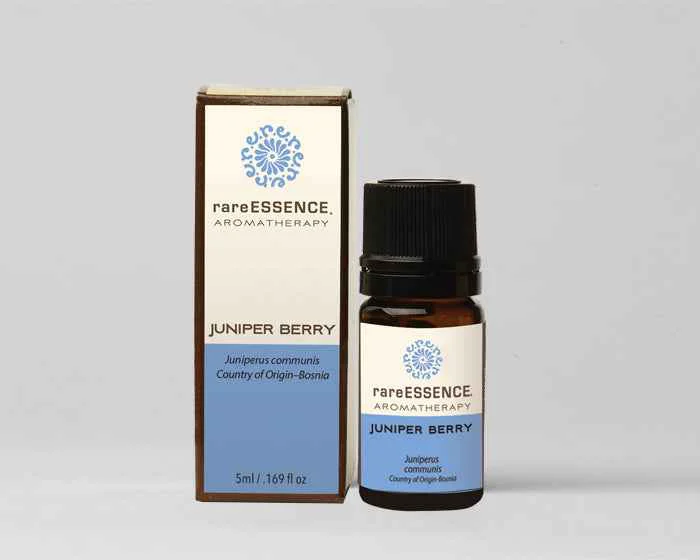 Contemporary Juniper Berry Fashionable
