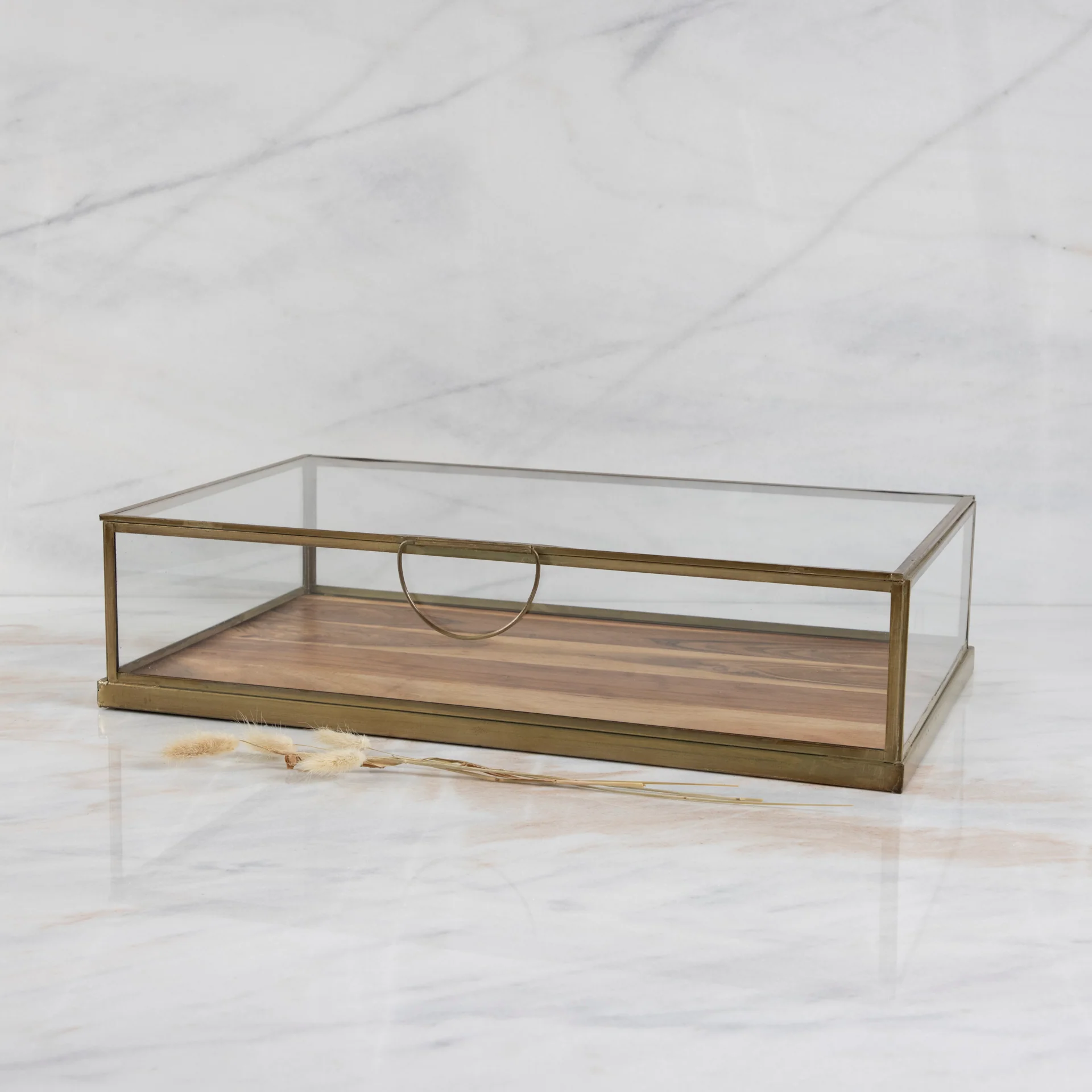 Powerful Glass Display Case with Wood Base Large Pure