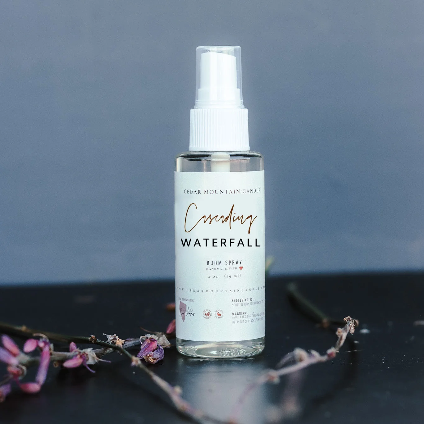 Clean 2 oz Room Spray - Cascading Waterfall Exceptional