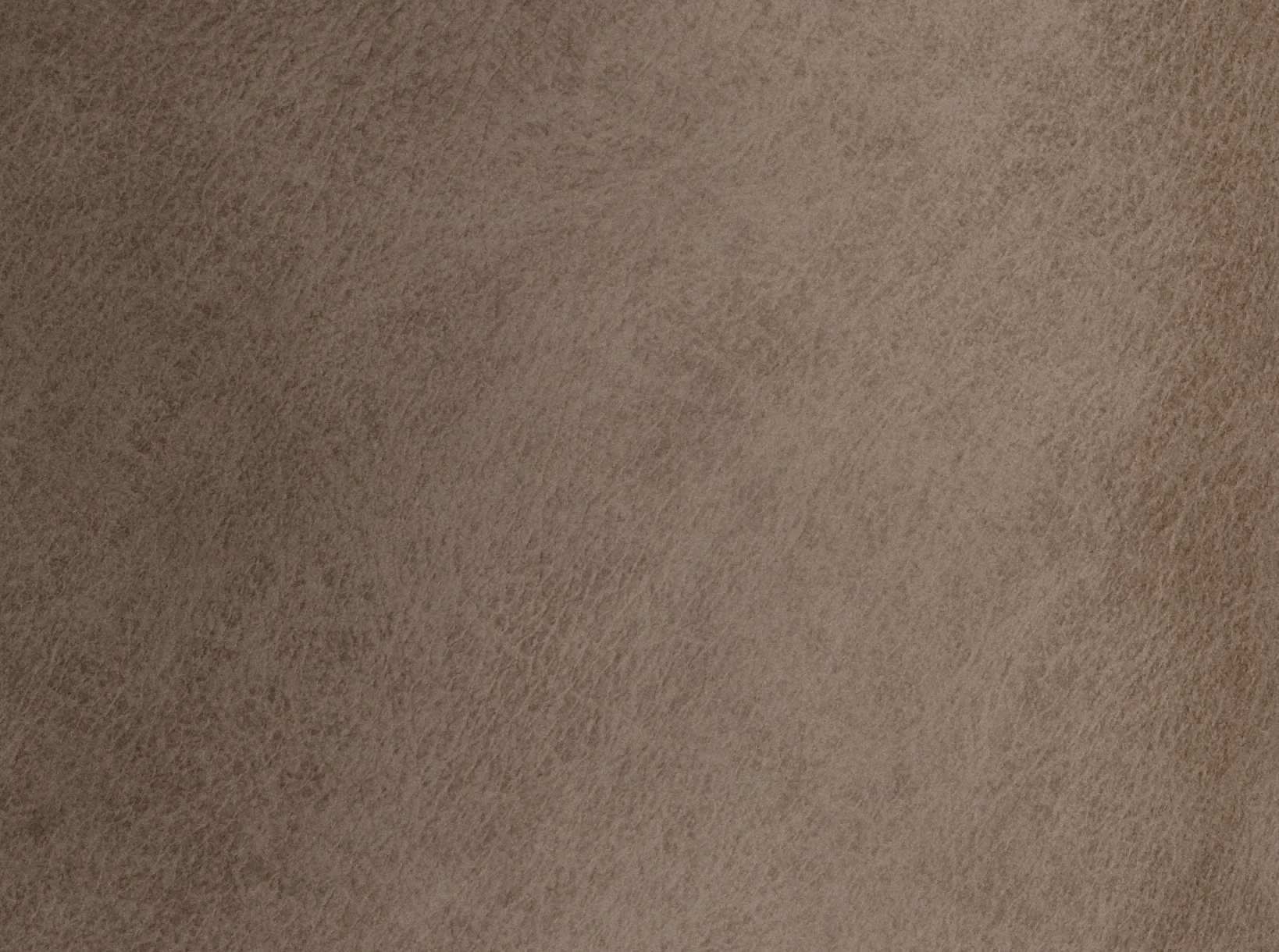 Healthy Evolution Silver Fox Leather by the Square Foot Minimalist