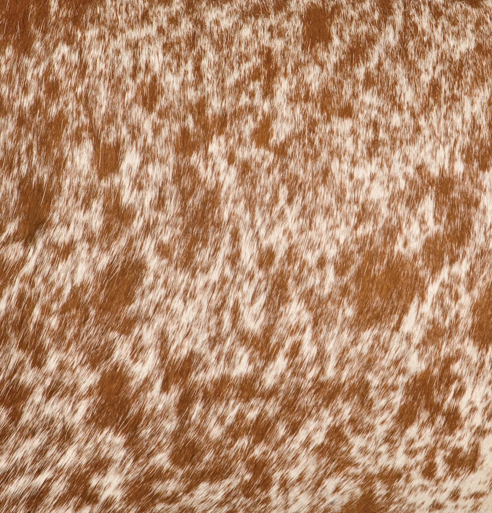 High-Grade Speckled Light Brown Hair on Hide Upgrade Leather by the Square Foot Classic