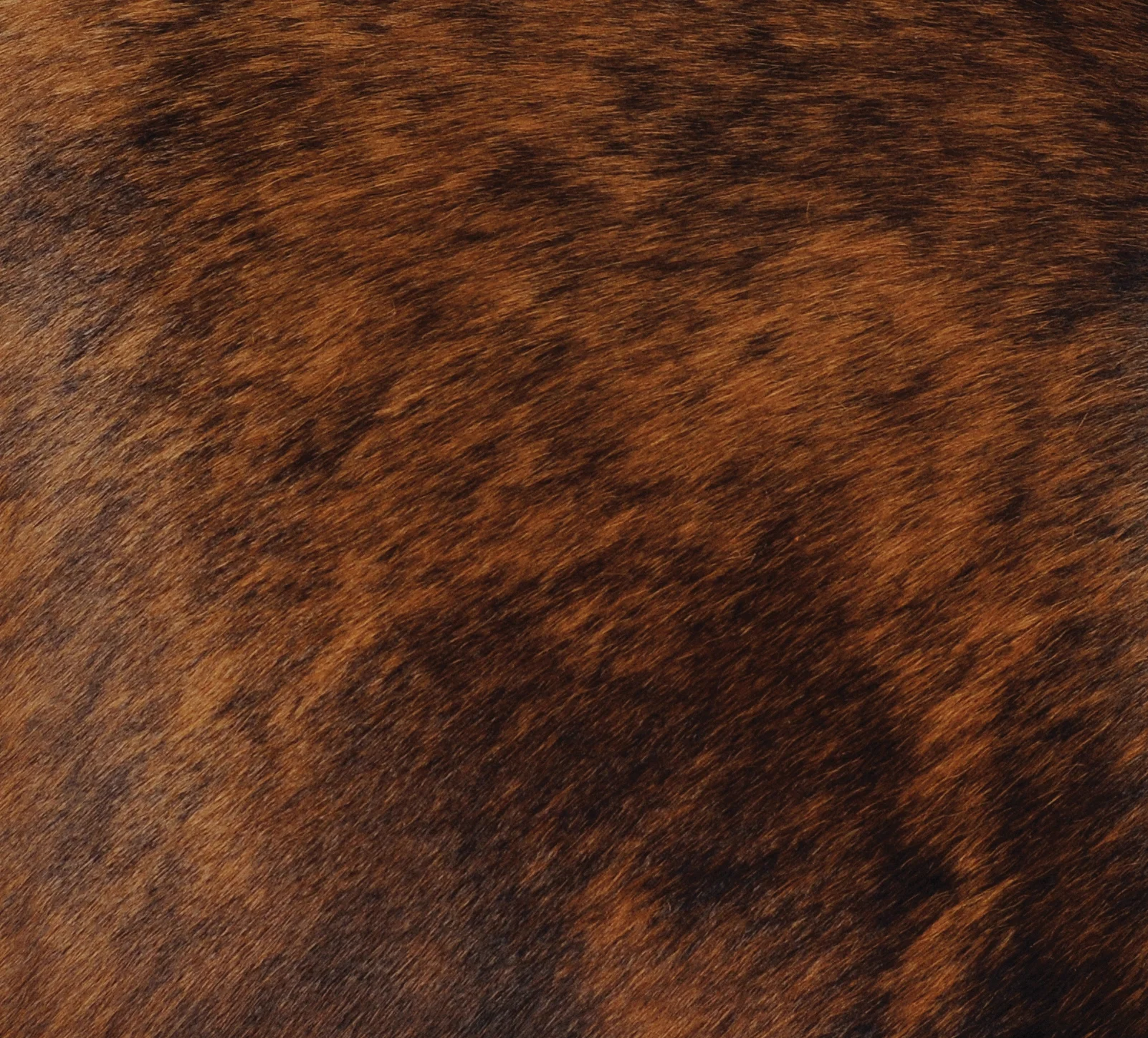 Casual Dark Brindled Hair Upgrade Leather by the Square Foot Official