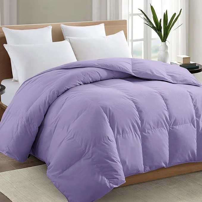 Elite TEXARTIST Premium 2100 Series Queen Comforter All Season Breathable Lavender First-Class