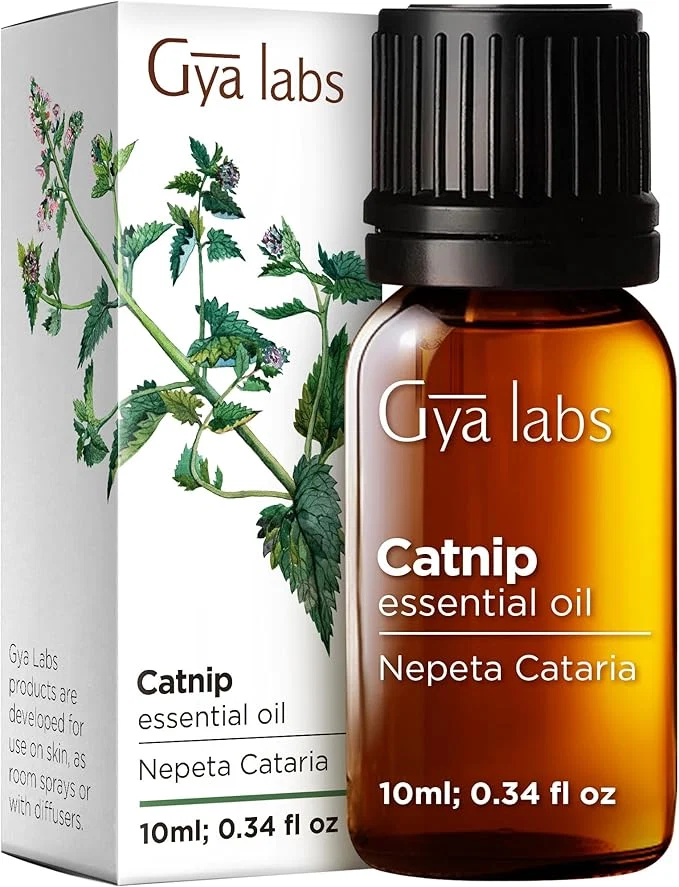 Durable Pure Catnip Essential Oil Casual