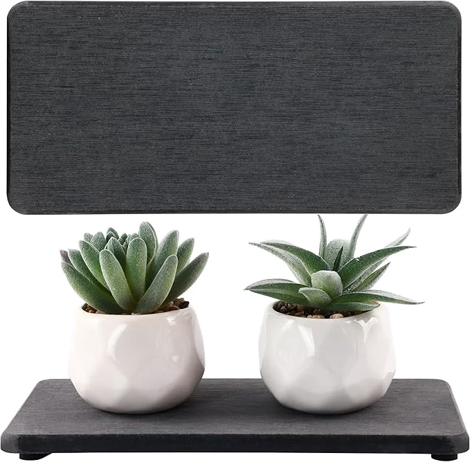 Durable NiuYichee 2 Pcs Water Absorbing Stone Trays Kitchen Bathroom Sink Soap Dish High-Performance