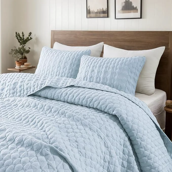 Powerful WDCOZY Light Blue Twin Size Quilt Bedding Set with 1 Pillow Sham Lightweight Soft Bedspread Coverlet Thin Comforter Bed Cover for All Season 2 Pieces 68x90 inches Safe