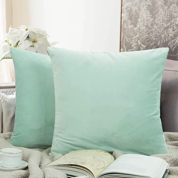 Environmentally Friendly NTBAY Zippered Velvet Square Throw Pillow Covers 2 Pack Soft and Luxury Decorative Cushion Cases 18x18 Inches Cyan Certified