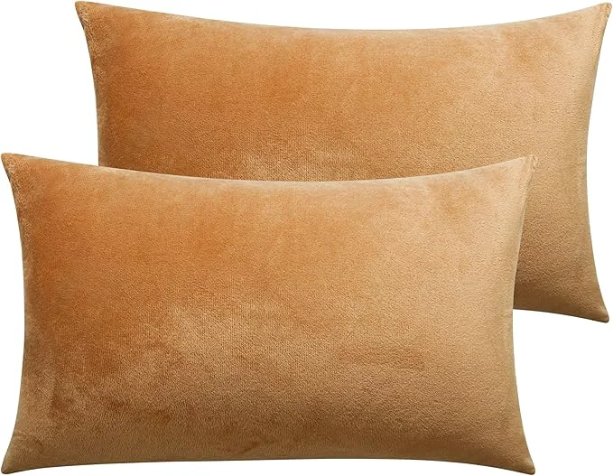 Smooth NTBAY 2 Pack Zippered Velvet Queen Pillowcases Super Soft and Cozy Luxury Fuzzy Flannel Pillow Cases with Zipper 20x30 Inches Camel Stylish