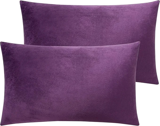 Top-Quality NTBAY 2 Pack Zippered Velvet Queen Pillowcases Super Soft and Cozy Luxury Fuzzy Flannel Pillow Cases with Zipper 20x30 Inches Purple Comfortable