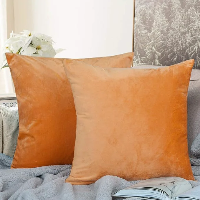 Consistent NTBAY Zippered Velvet Square Throw Pillow Covers 2 Pack Soft and Luxury Decorative Cushion Cases 18x18 Inches Ginger Yellow Fine