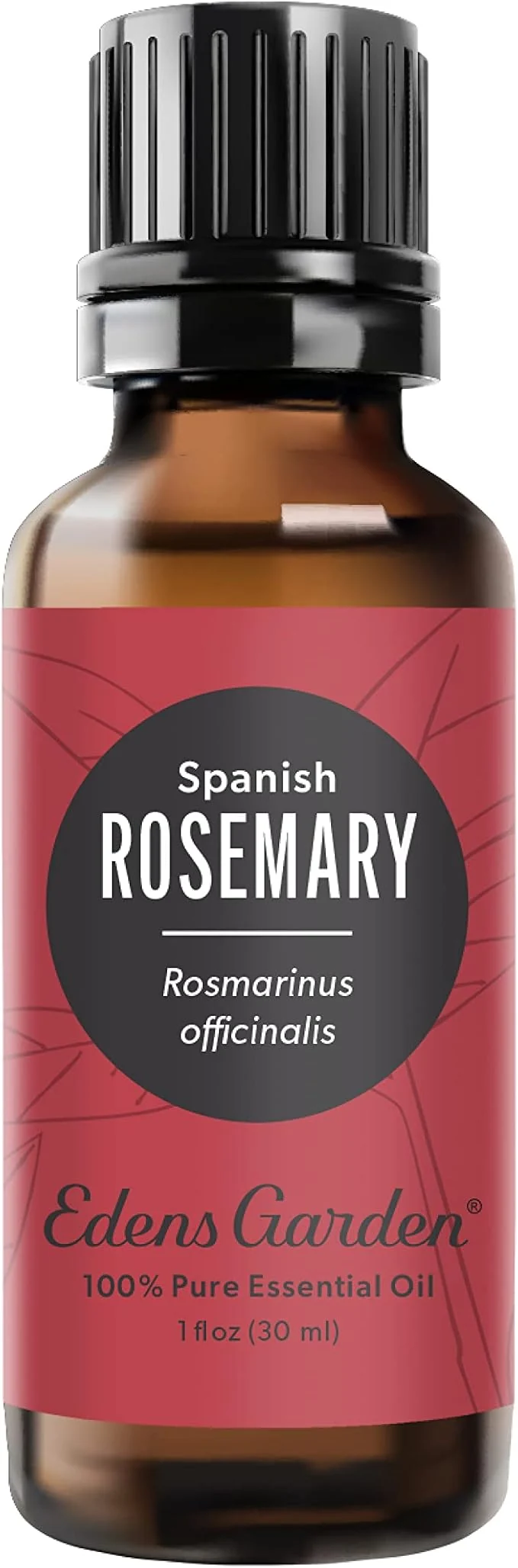 Premium Material Edens Garden Rosemary- Spanish Essential Oil- Pure Premium Grade Green