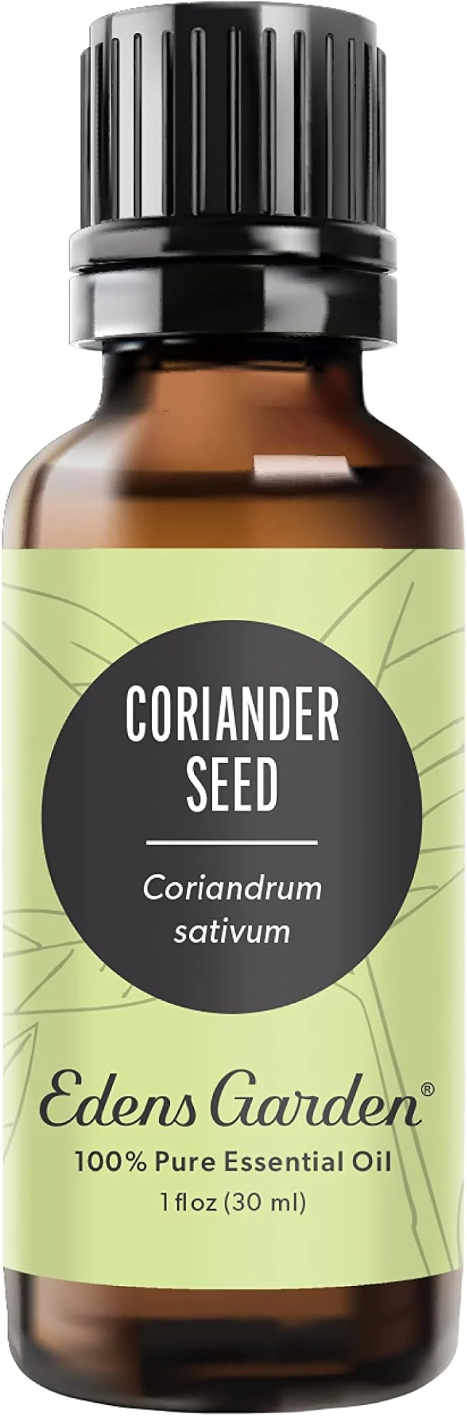 High-End Edens Garden Coriander Seed Essential Oil- Pure Premium Grade Therapeutic Next-Generation