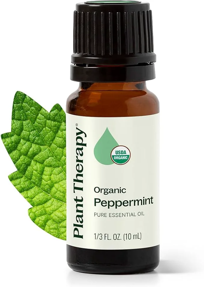 Long-Lasting Plant Therapy Organic Peppermint Essential Oil 10 mL Pure USDA Fashionable